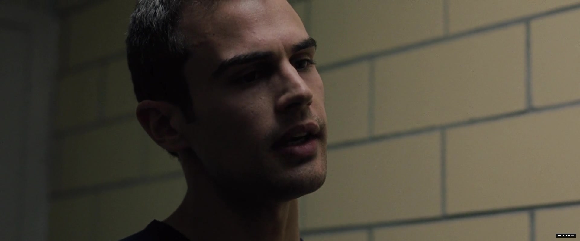 theojamesweb_2823329.jpg