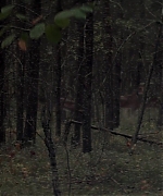 Filename=theojamesweb2278.jpg
Filesize=441KiB
Dimensions=1920x800
Date added=Aug 16, 2020 theojamesweb2278.jpg