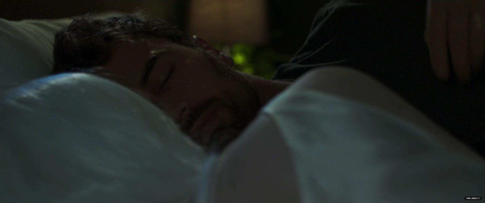 theojamesweb3512.jpg