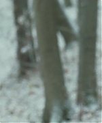 Filename=theojamesweb3397.jpg
Filesize=416KiB
Dimensions=1904x800
Date added=Aug 16, 2020 theojamesweb3397.jpg
