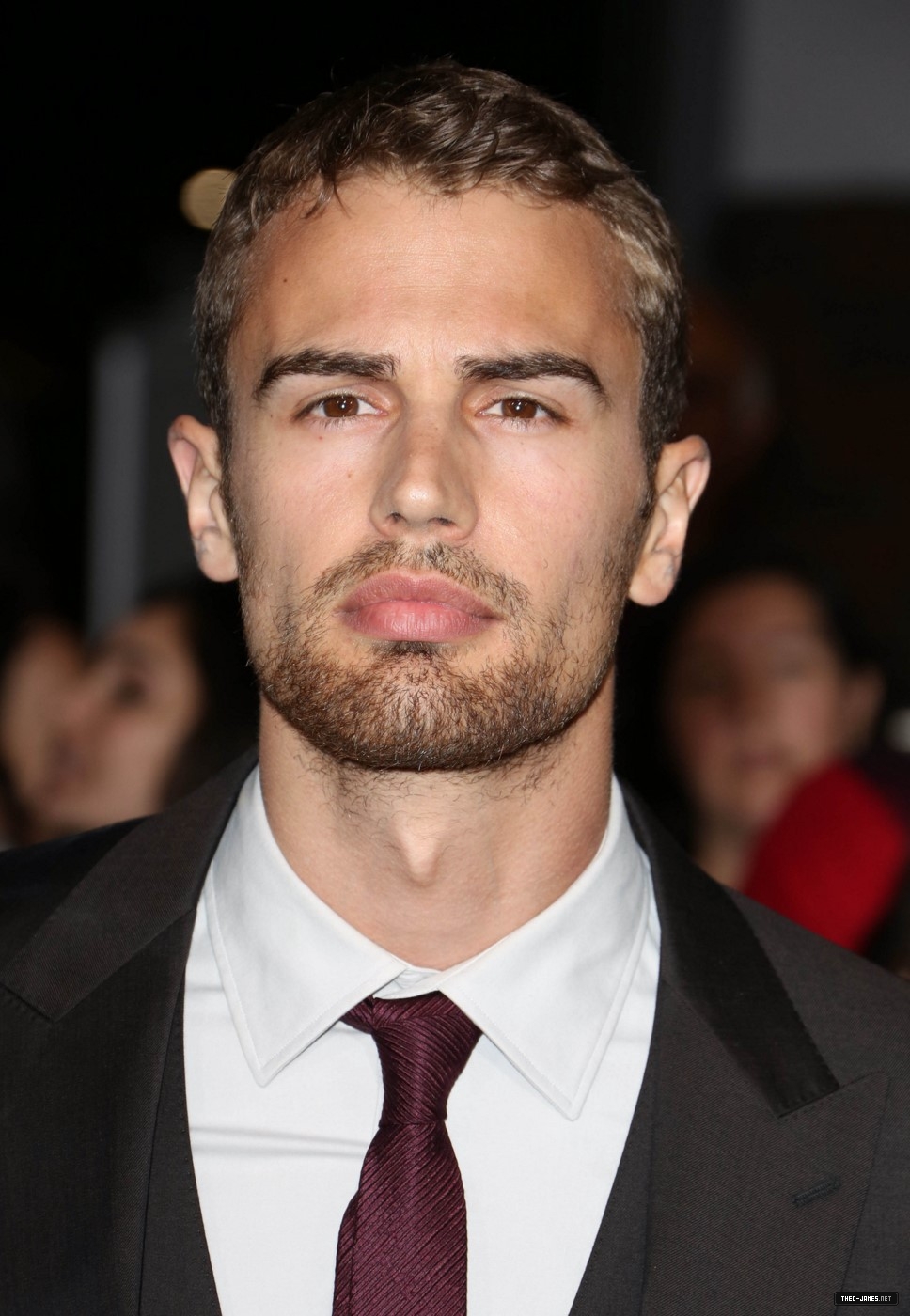 theojamesweb2139.jpg