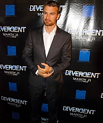 theojamesweb2566.jpg