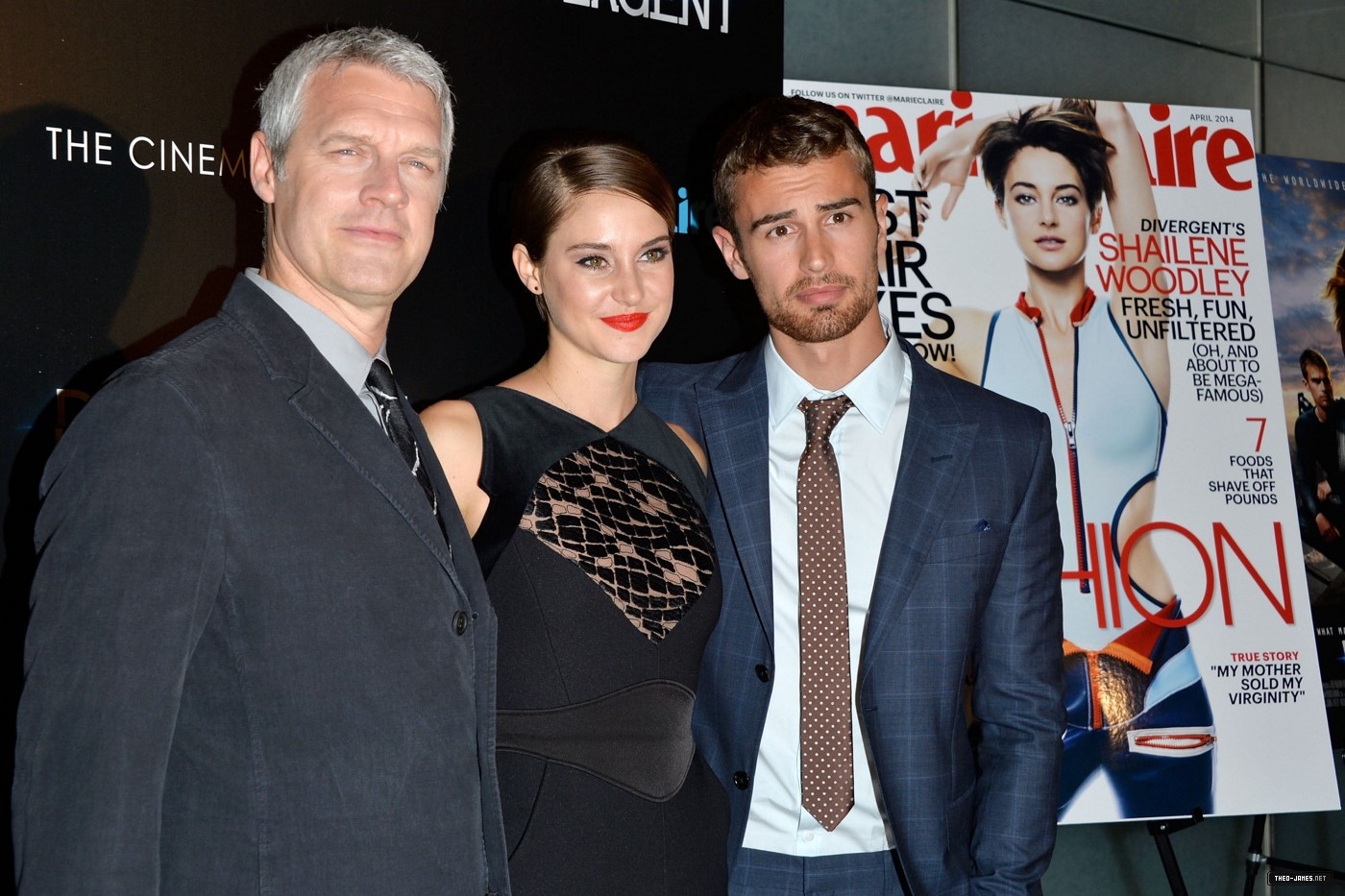 theojamesweb_2810629.jpg