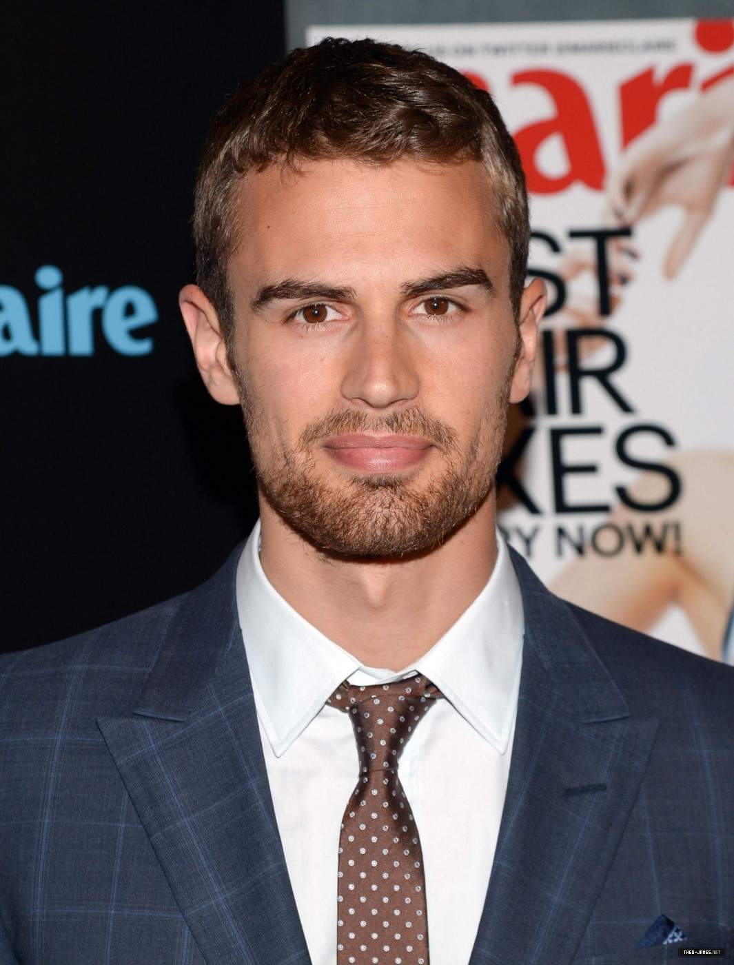 theojamesweb_2816429.jpg