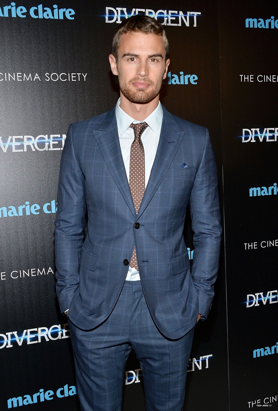 theojamesweb_2818429.jpg