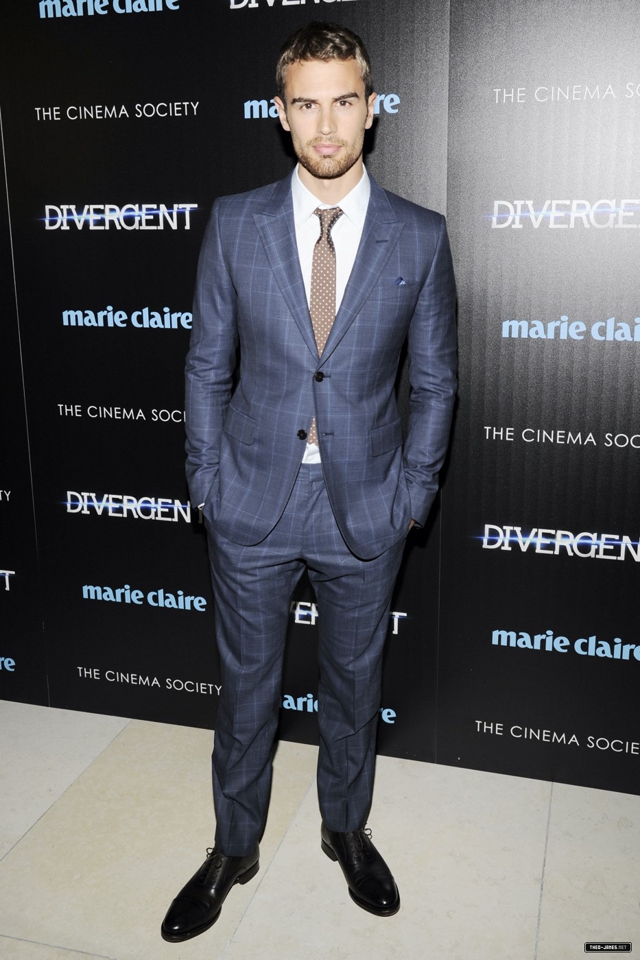 theojamesweb_2819129.jpg