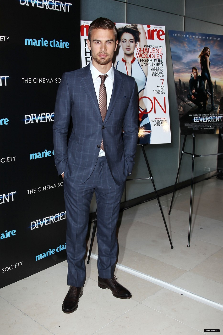 theojamesweb_2819329.jpg