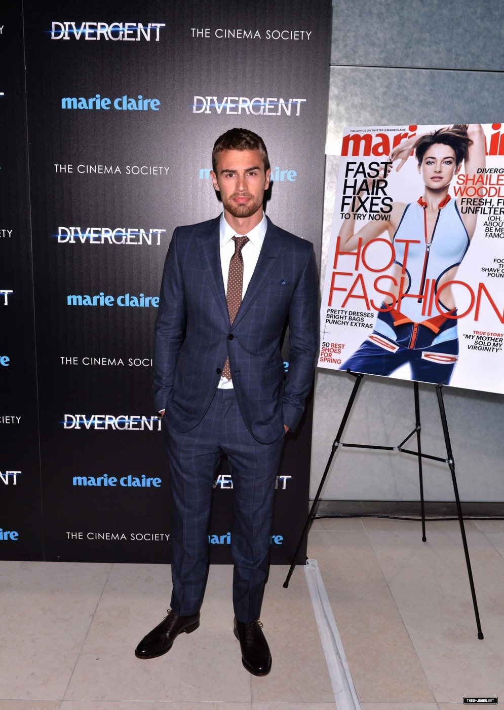 theojamesweb_2819629.jpg