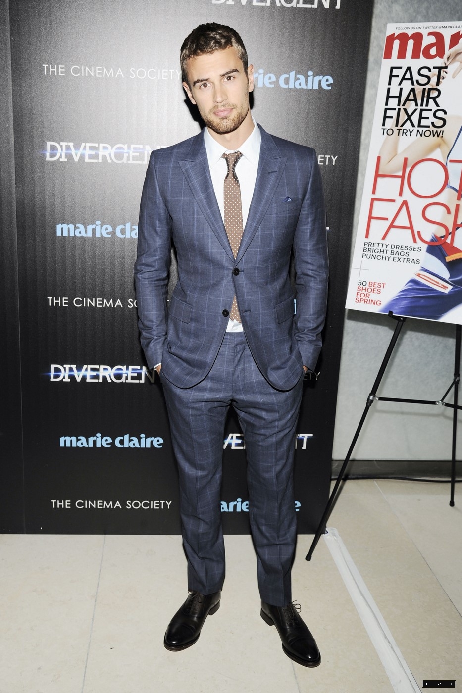 theojamesweb_2819729.jpg