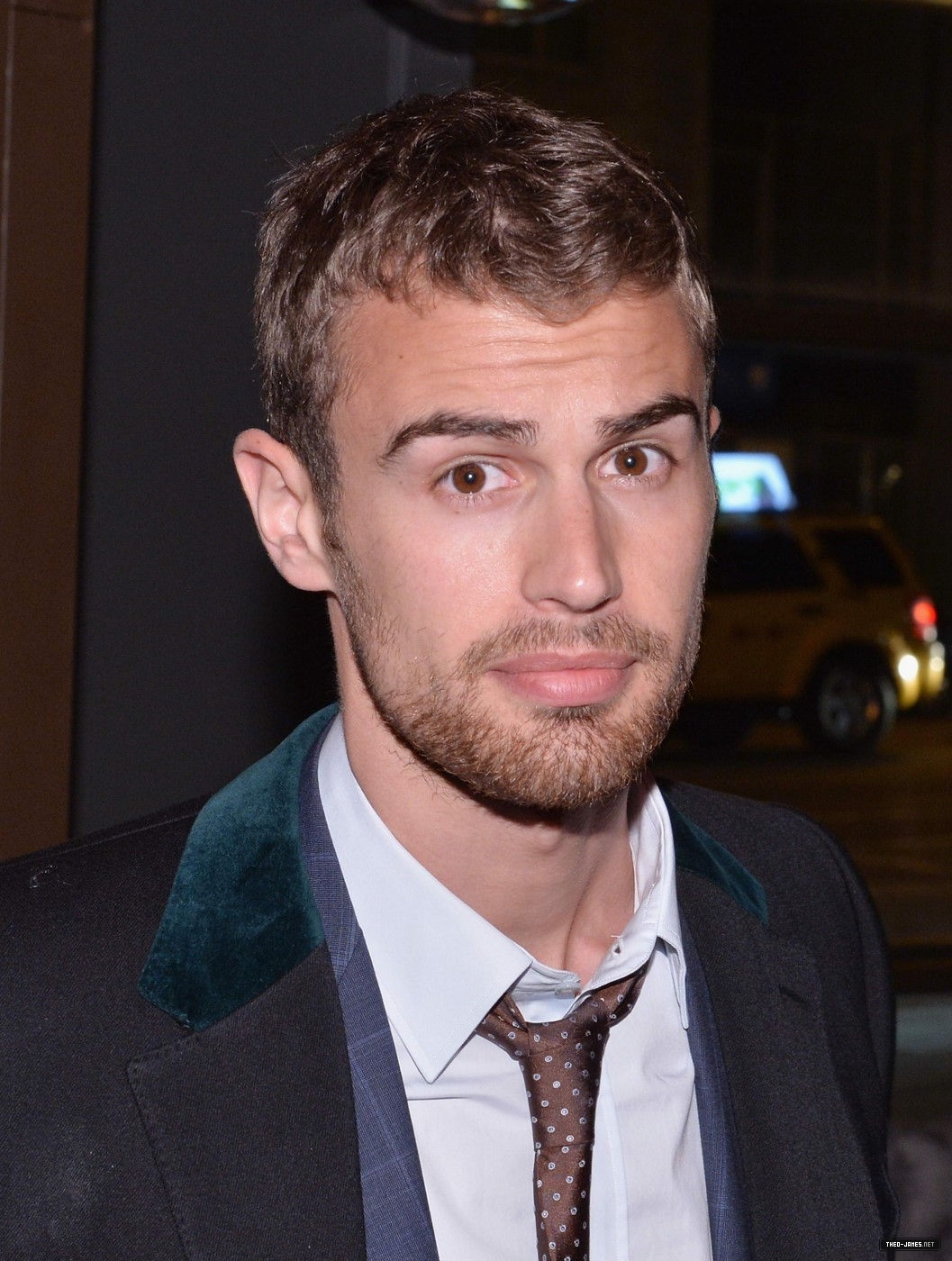 theojamesweb_2820229.jpg
