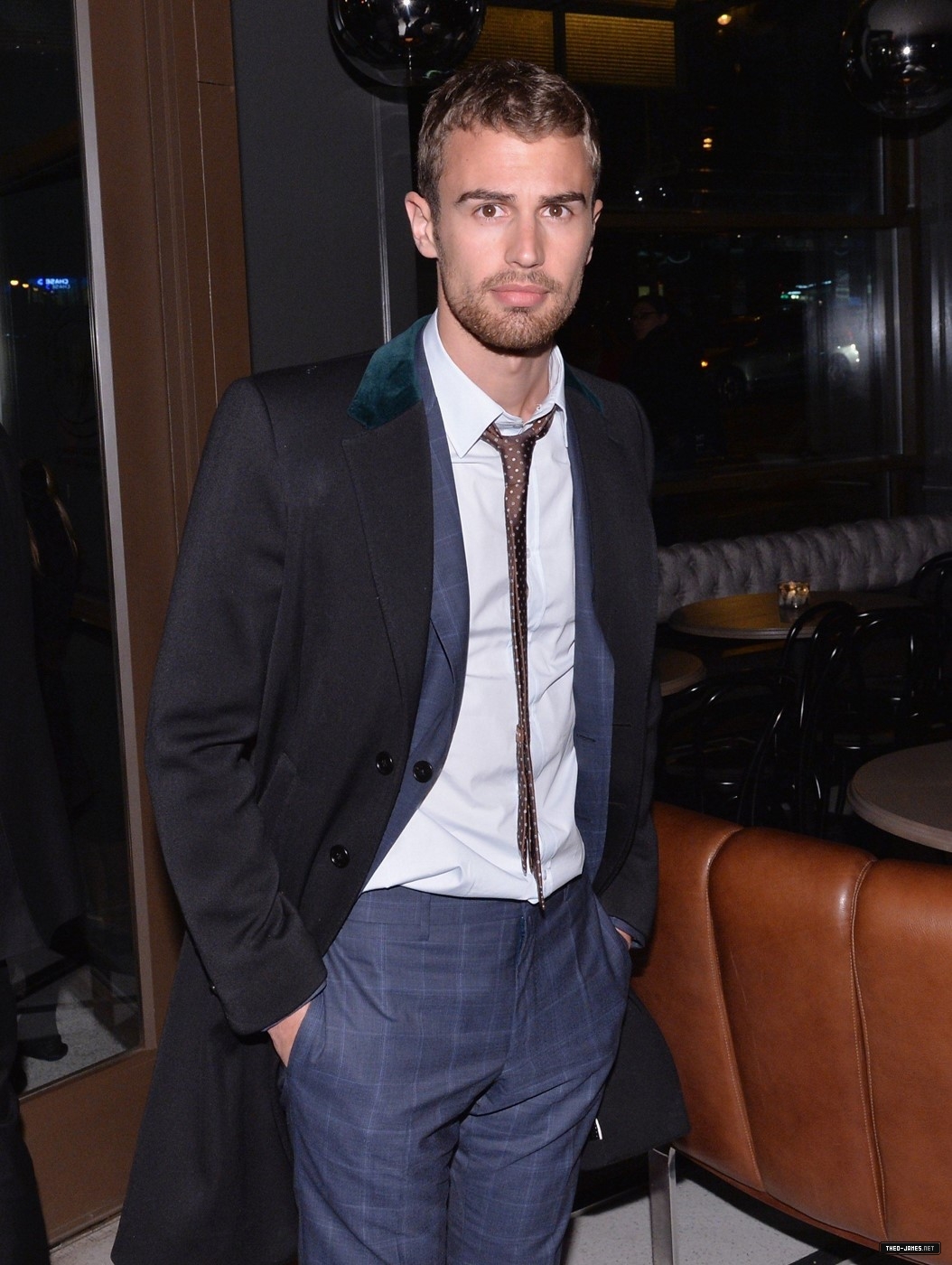 theojamesweb_2820929.jpg
