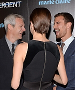 theojamesweb_2810229.jpg