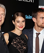 theojamesweb_2811129.jpg