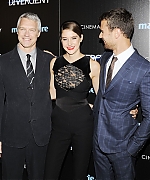 theojamesweb_2812129.jpg