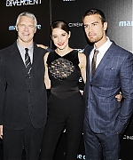 theojamesweb_2812529.jpg