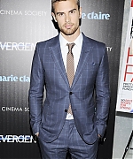 theojamesweb_2818129.jpg