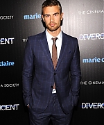 theojamesweb_281929.jpg