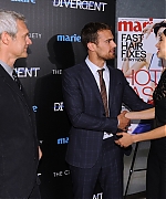 theojamesweb_282929.jpg